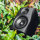 Monkey Banana Gibbon5 black - Active Studio Monitor