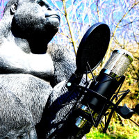 Monkey Banana Bonobo schwarz - Kodensatormikrofon